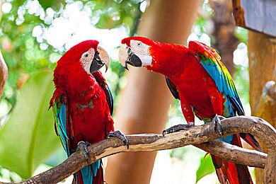 平台解谜《Viewfinder》7月18日发售 新预告发布